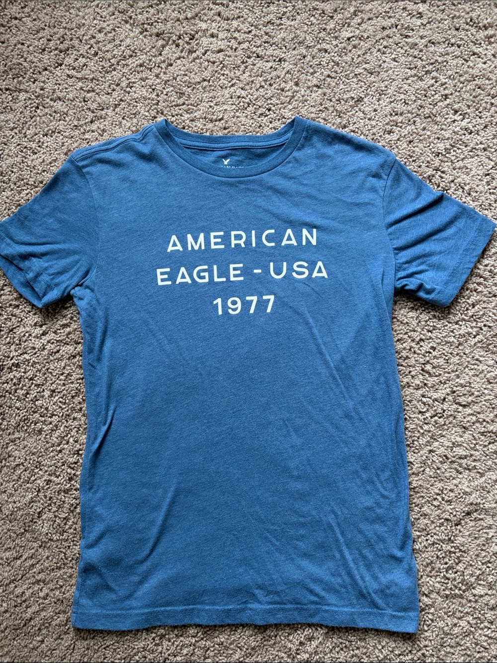 Men’s XS American Eagle Outfitters Blue Graphic Tee